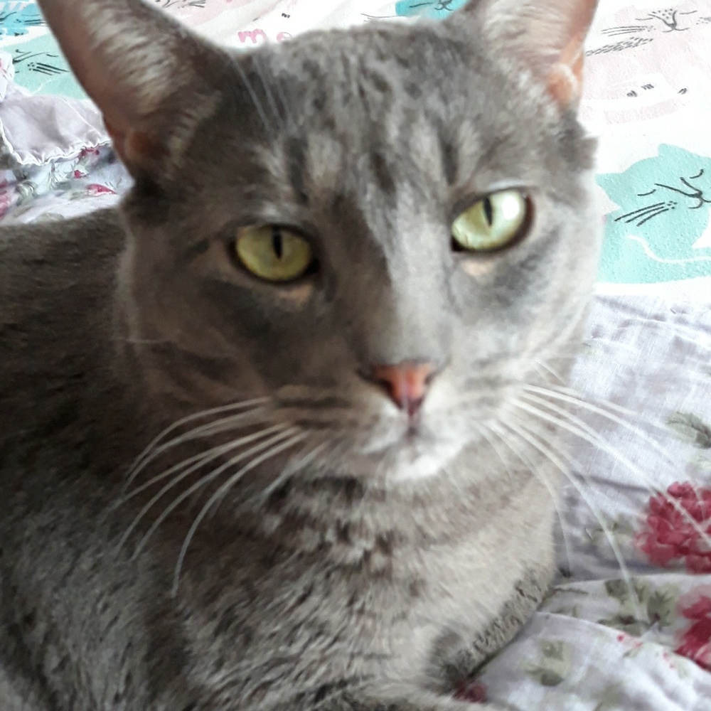 Meet your Posher, Karisa